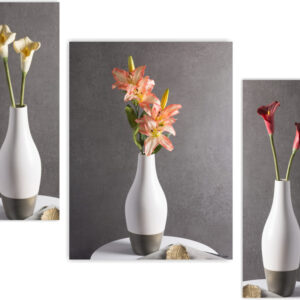 Set Of 3 Digital Wall Painting