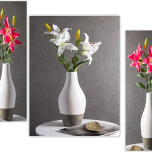 Set Of 3 Digital Wall Painting